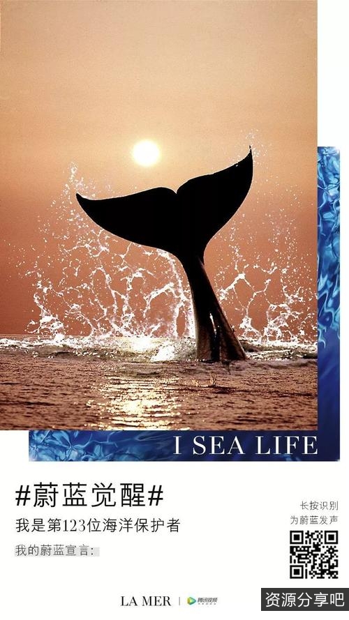 BBC纪录片《蓝色星球.SE1-2》：1080PH265高清原画，阿里云盘/APP可支持倍速播放