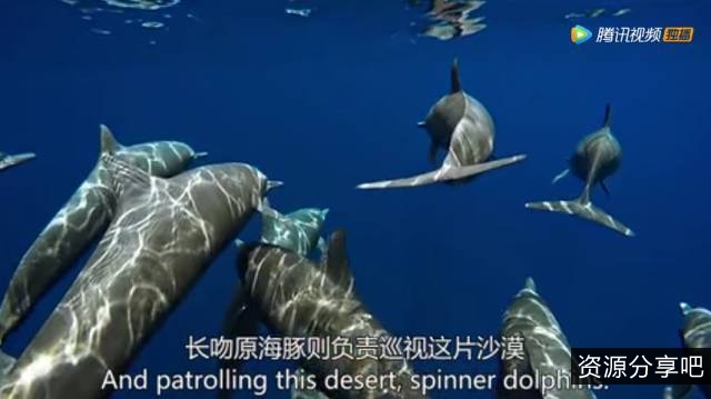 BBC纪录片《蓝色星球.SE1-2》：1080PH265高清原画，阿里云盘/APP可支持倍速播放