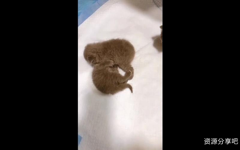 熙墨爱精：李熙墨博士提供的付费课程及免费活动，让你更好地挑逗对方！