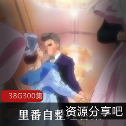 38G里番精品动画作品集：超级大礼包，完全整理，优质作品集！