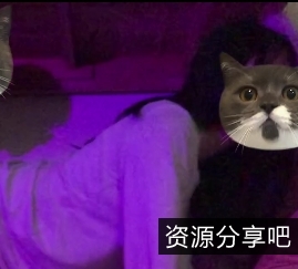 百合女大学生日常互动礼包，百度盘免费下载！