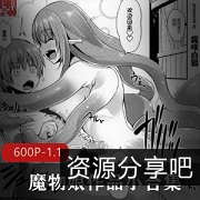 霧咲白狐的魔物娘小合集