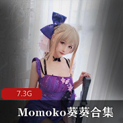 高价定制私拍合集