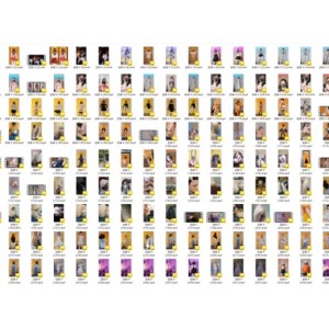 Naimi奶咪Anaimiya合集资源：561个视频和5405张照片，总大小101.09G