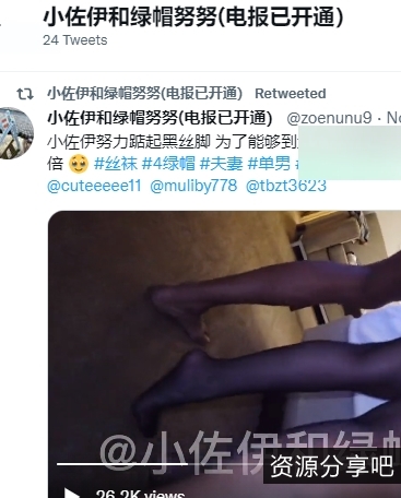 SirBAO火爆新作：小佐伊和绿帽努努，视频震撼上本站