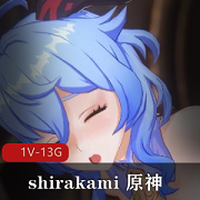 《shirakami原神(崩坏三)作品合集1》-4K60FPS画质，24分20秒时长，姐姐资源全收录