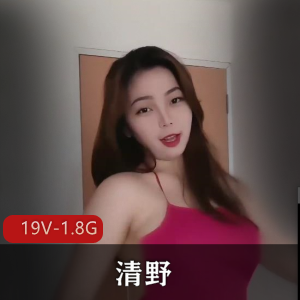 清野舞主精剪舞蹈视频[19V-1.8G]：车衣舞姿婀娜，弹幕赞叹人才昏君