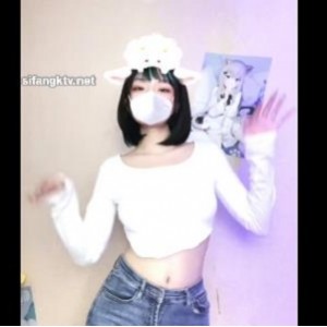 舞蹈合集+小仙云+热门舞蹈+社保姬+13V1.4G，包含道具秀与互动，补充资源请淡定等待！