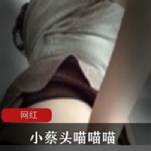 小桃直播小蔡头喵喵喵高清私密视频合集50部50G太给力了