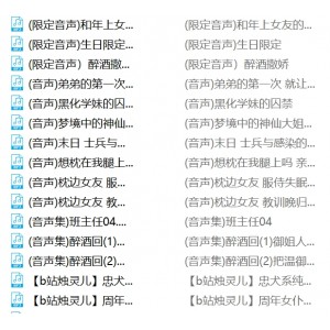 B站烛灵儿珍藏视频合集120v26g