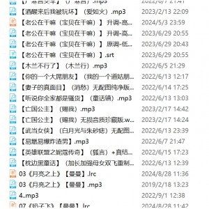 网盘骚麦银词艳曲音频合集397V79G