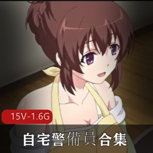 自宅警備員合集15V1.6G三姐妹秘闻岛国经典