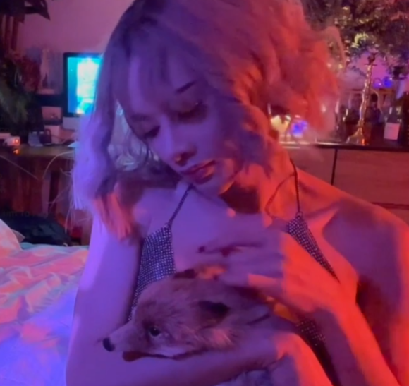 OnlyFansWitchyFox妖艳伪娘56部30G